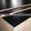 Hardwood Architectural Plywood for Construction