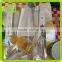 2015 China Supplier Free Sample Health Food Biodegradable Composite Bag
