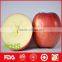 Export cheap fresh honey fuji apples