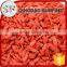 Kosher approval good price goji fruit extraction dried fruit goji Berry