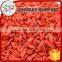 20 years experience snack food goji honey dried fruit goji berry