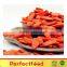 Hot Sale Goji Fruit on sale