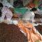 VIETNAM RAW STAR ANISSED NEW CROP 2015