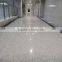 Factory price + Good quality /white granite