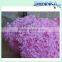 Fresh Preserved Hydrangeas wedding table centerpieces in Purple Color