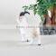 12 zodiac animals life size artificial fake bulk mini furry goat