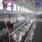 chicken layer equipment for poultry farm