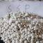 Granular simple super phosphate SSP superphosphate P2O5 18 fertilizer