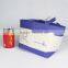 Lunch Bag Can be Printed with Logo (BCP041)