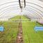 Lasting effect amino acid and fulvic acid organic liquid fertilizer
