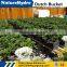 dutch bucket hydroponic growing systems greenhouse