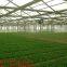 hot sellIntelligent  Greenhouse&agricultural Greenhouse