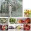 Full automatic vacuum fryer vegetable&fruit healthy green food making machine