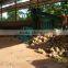 High efficiency oil palm fibre dryer machine/coco peat dryer with good drying effect
