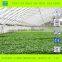 Low Cost Single Span Film Greenhouse for Sale
