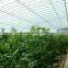 Agricultural Greenhouses