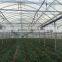 Agicultural Greenhouse
