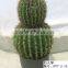 Artificial outdoor and indoor cactus tree and plants for decoration