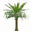 HX010428 plastic tree for office decoration