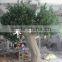 Artificial olive tree , large fake olive tree for sale