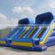 Factory Supply New Inflatable Bouncer Toys, Inflatable Hippo Slide, Inflatable Castle Slides