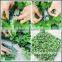 Hot sale artificial grass wall fake plant wall wholesaler on  china