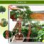 best sell palm tree landscaping tree Artificial palm trees for decor