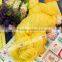 2016 dmc floss wholesale bulk cotton thread 100% embroidery threads 447 colors