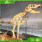 High Realistic Museum Artificial simulation fiberglass dinosaur fossil replicas dinosaur skeleton
