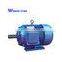 AC Induction Electric Motor 75kw