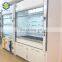Chinese corrosion resistance laboratory furniture fume cupboard lab fume hood
