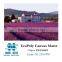 ECO-Solvent Matte Inkjet Polyester Print Canvas, china print canvas, Naisi Digital