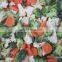 Sinocharm BRC A Certified Classic IQF Frozen Mixed 3 Vegetables