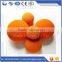 concrete pump sponge washing balls