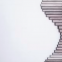 304 316 Stainless/Suqre/Round Seamless/Welded Stainless Steel Pipe