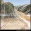 hot sale Agricultural HDPE anti bee net/ anti hail net
