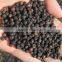 GOOD PRICE !!! Vietnam black pepper 550gl/ 550gl, CLEANED