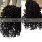 Salon perfect High Quality , 7A Indian Curly bundles ,100% Human Virgin Hair no chemical processed