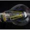 E27 2W 4W 6W 8W LED Chips LED Bulb Light Lamps Glass Globe Lamp Edison Led Filament Bulb Warm White 110V 240V Lampada Led