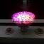 Small Energy E27 15W RGB Led Spot light Par38