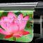 China high definition Waterproof pp for inkjet printing
