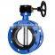 Marine Butterfly Valve Flange Type Butterfly Valve