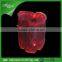 Glow in the dark luminous led corona ice bucket bag