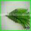 china new arrival make artificial plants for sale