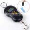 Electronic Scale Portable Electronic Scale Weiheng