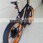 hot sale aluminum bike frame 26"*4.0 fat tire electric bike/fat tire snow e bike