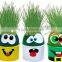 DIY Grass Head Dolls Plants for Birthday Gift