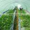 professional Factory manufacture various greenhouse film