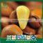 Factory Direct Organic Cracked Open Pine Nuts in Bulk