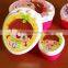 Gift Idea Sweet girl stackable&nestable plastic snack box set